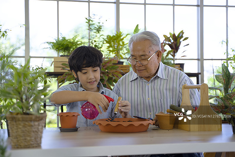 居家室内园艺图片素材