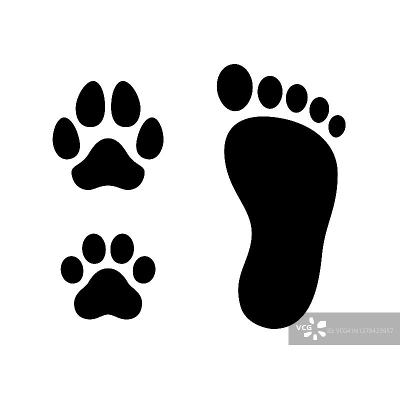 人脚与狗和猫爪图片素材