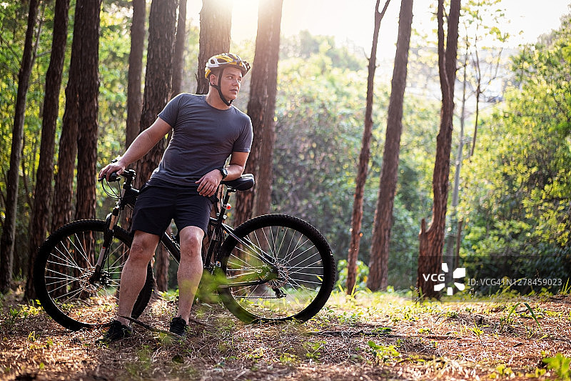 松树林中的骑行者图片素材