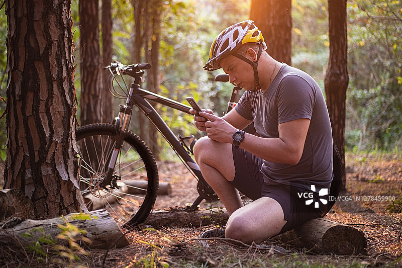 松树林中的骑行者图片素材