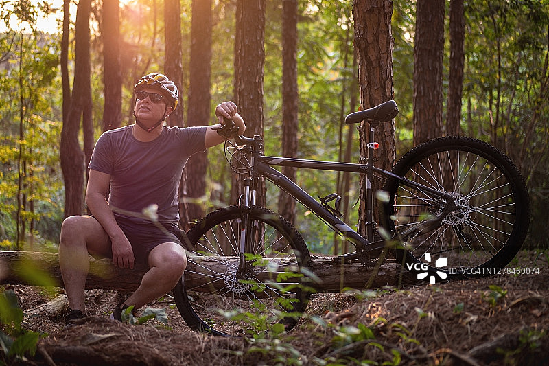 松树林中的骑行者图片素材
