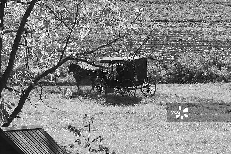阿米什社区使用的马车图片素材