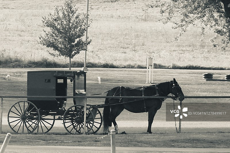 停在市场外的阿米什马车图片素材
