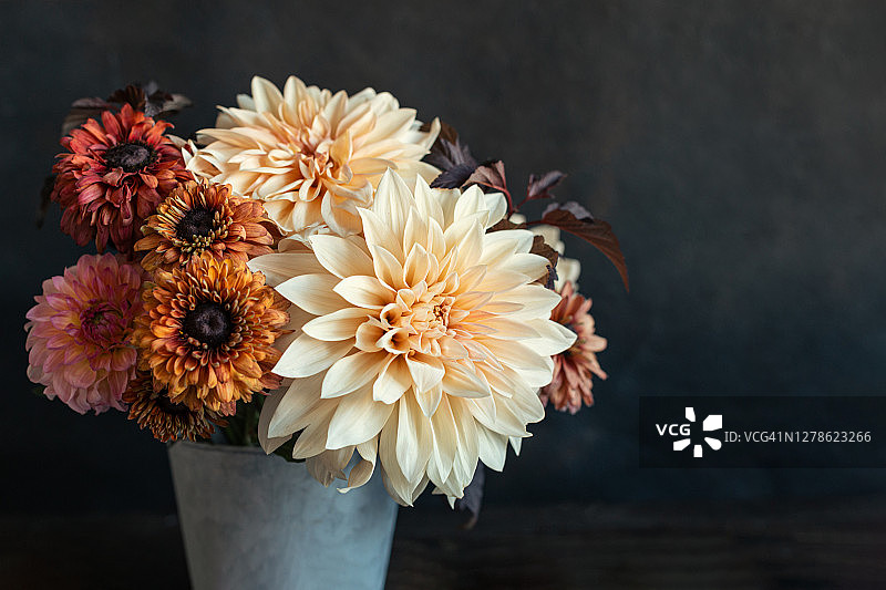 深色背景上的大丽花秋季花束图片素材