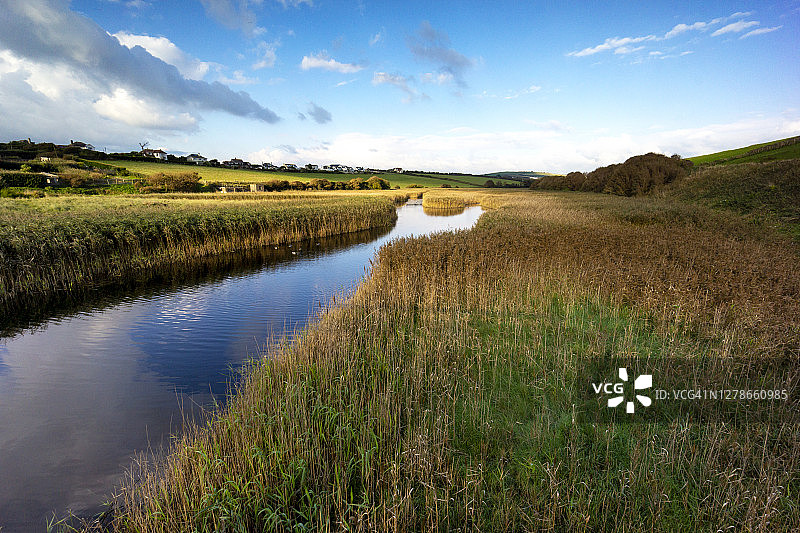 南米尔顿莱自然保护区，德文郡图片素材