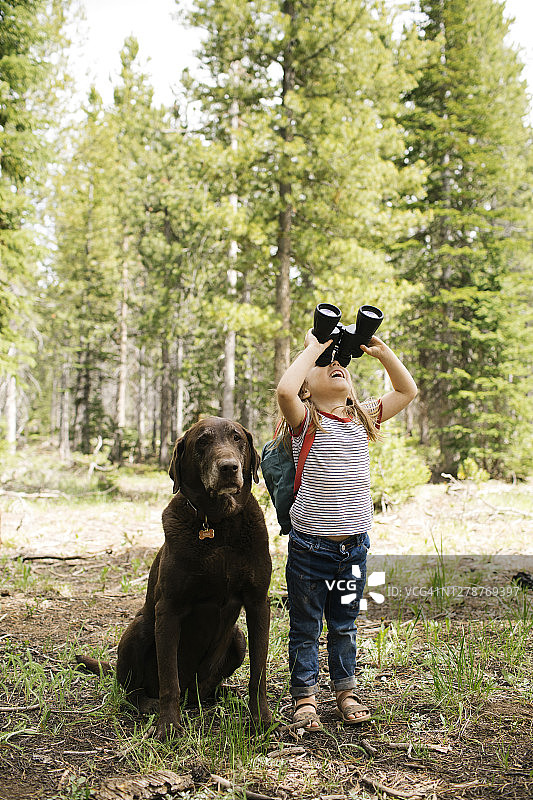 在森林里用双筒望远镜观察的女孩（4-5岁），巧克力色拉布拉多犬坐在她旁边，位于瓦萨奇-喀什国家森林图片素材