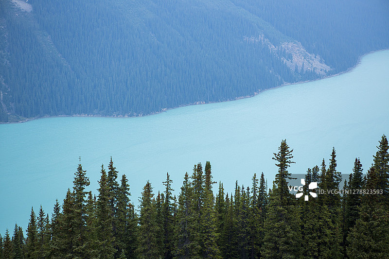 艾伯塔省沛托湖图片素材