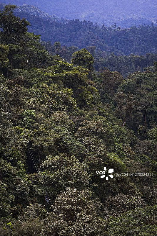 厄瓜多尔乔科雨林：马什皮旅馆空中自行车上的两人图片素材