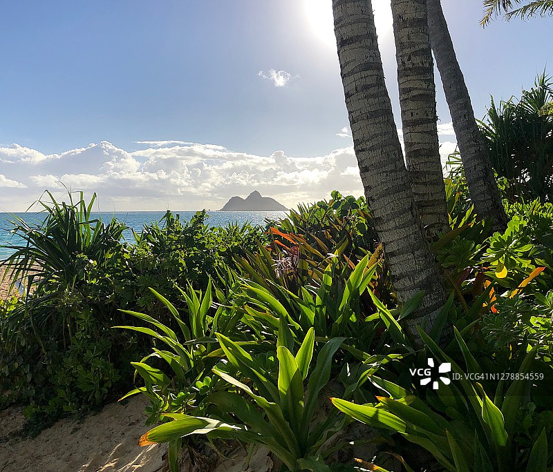 夏威夷凯卢阿图片素材