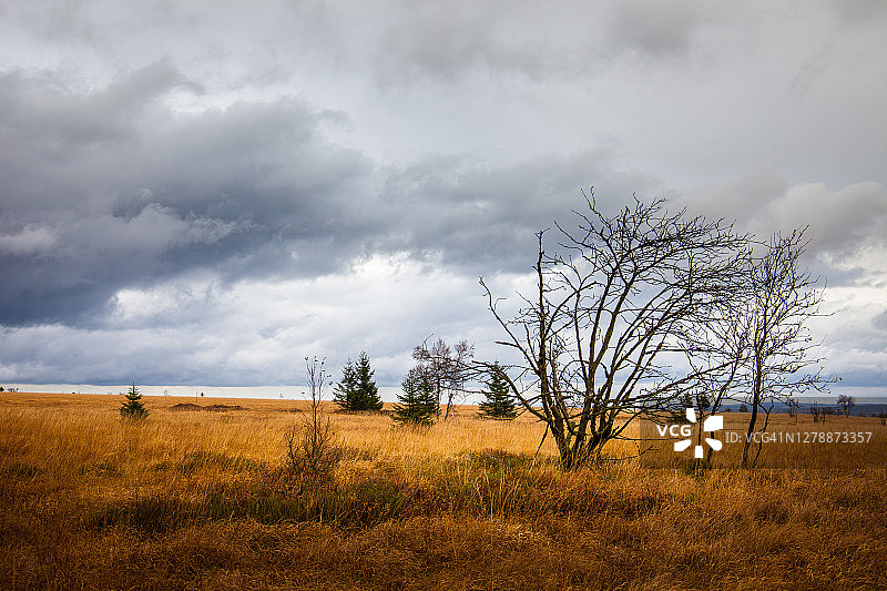 巴拉克·米歇尔，阿登地区图片素材