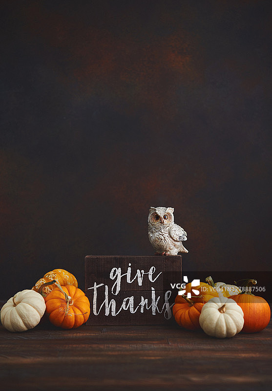 感恩节秋季背景与迷你南瓜和闪光猫头鹰图片素材