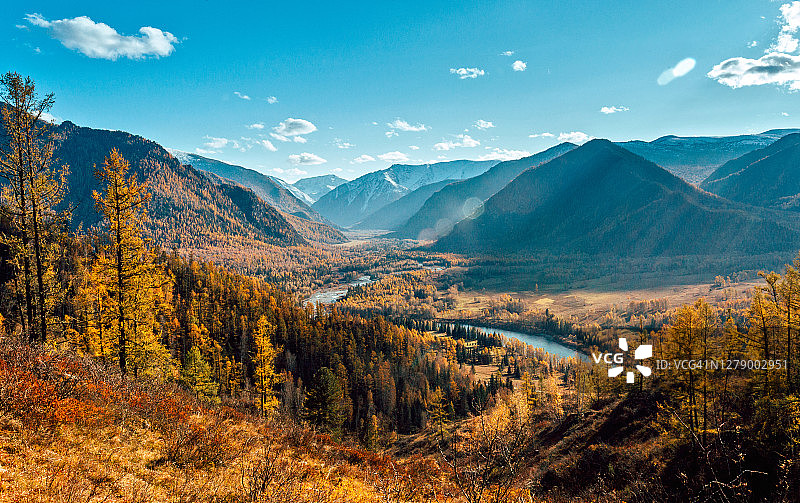 俄罗斯西伯利亚阳光明媚的金色阿尔泰山脉的秋日氛围，库拉甘河图片素材