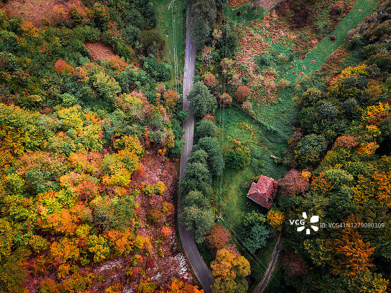 蜿蜒穿过秋季森林的乡村公路鸟瞰图图片素材