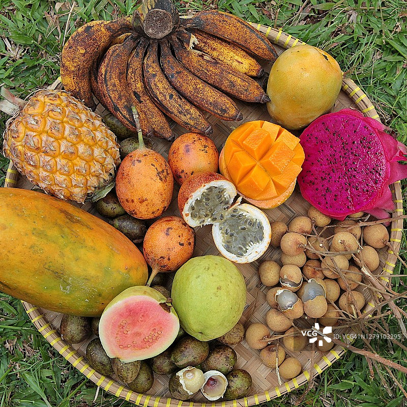 篮子里各种热带水果的高角度视图图片素材