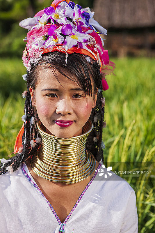 长颈克伦部落妇女穿过稻田的肖像图片素材