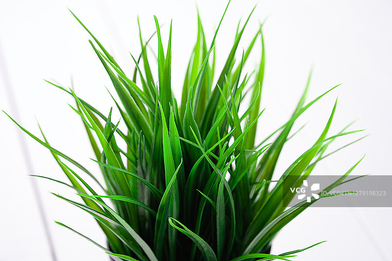 白色背景塑料盆中的装饰性人造绿草图片素材