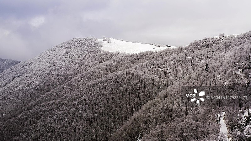 冬季雾中山林航拍：冰霜覆盖的树木图片素材