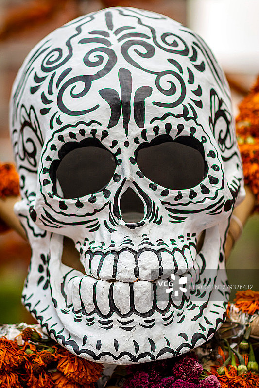 亡灵节骷髅图片素材