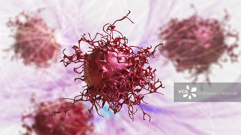 宫颈癌细胞图示图片素材