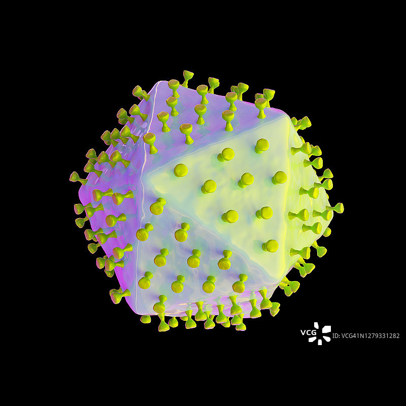 非洲猪瘟病毒示意图图片素材