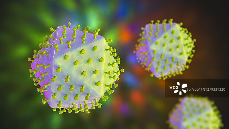 非洲猪瘟病毒示意图图片素材