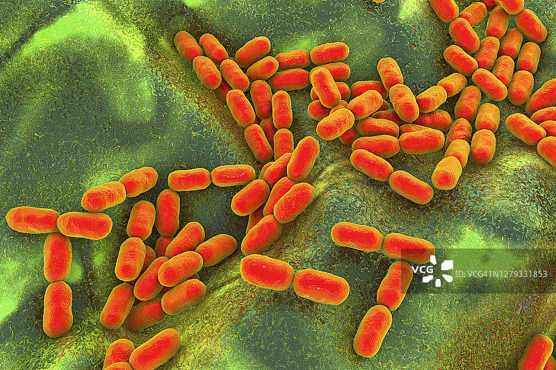 金黄杆菌插图图片素材