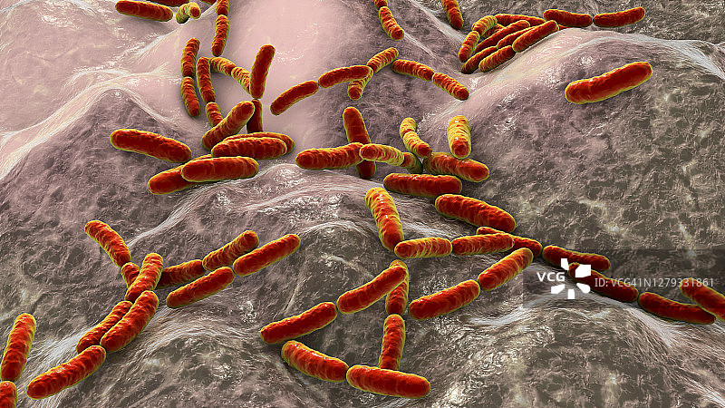 乳酸杆菌图片素材
