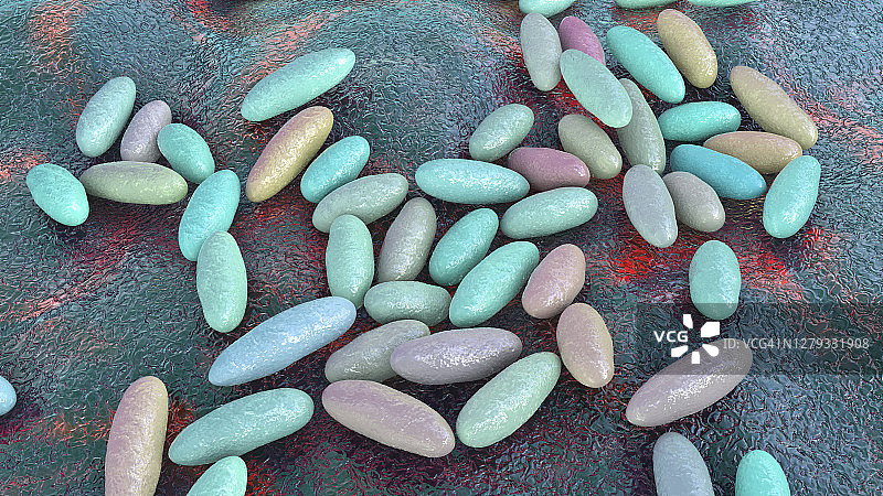 鼠疫耶尔森菌细菌图图片素材