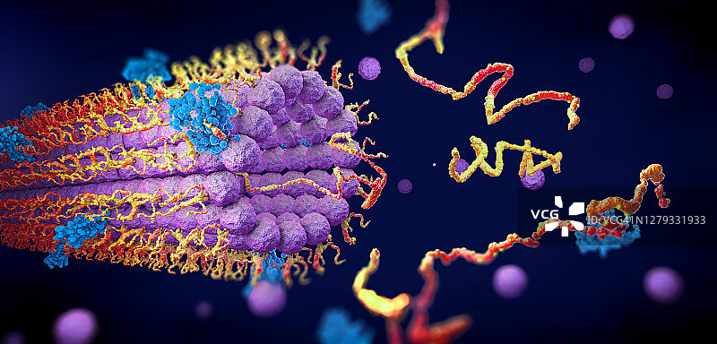 蛋白质折叠图示图片素材