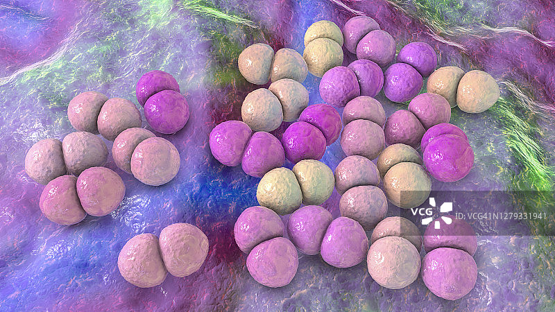 肺炎链球菌细菌插图图片素材