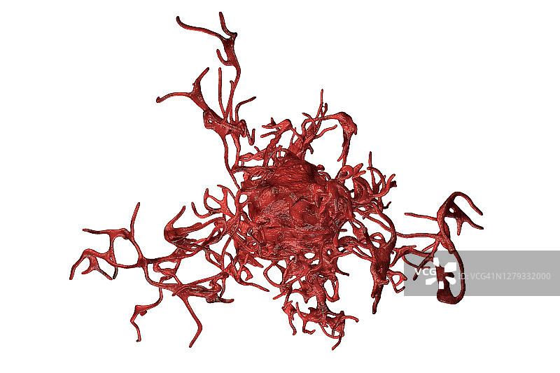 变形虫插画图片素材