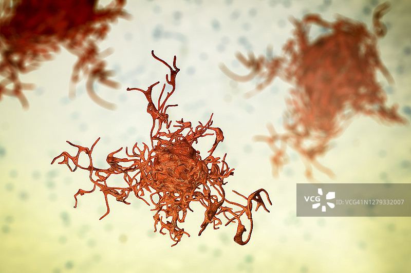 变形虫插画图片素材