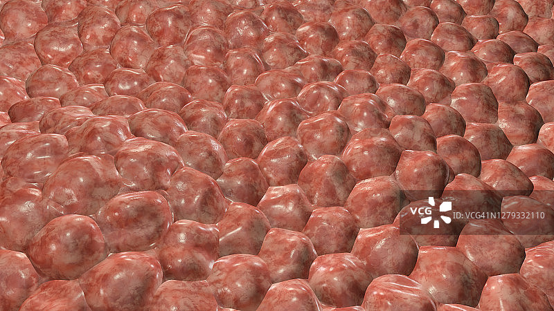 细胞插图图片素材