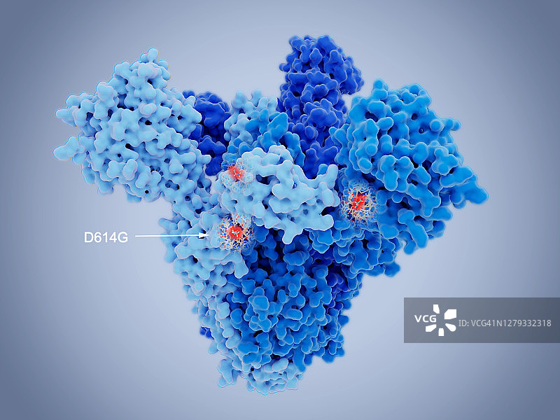 SARS-CoV-2病毒刺突蛋白和突变图示图片素材
