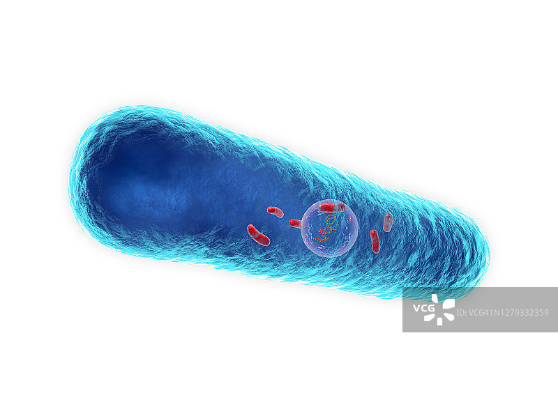 嗜肺军团菌，图示图片素材