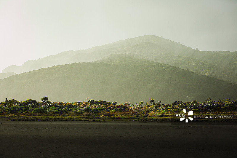 丛林景观图片素材