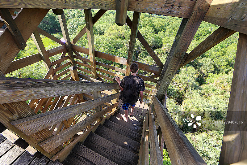 佛罗里达州Myakka河州立公园的木塔“树冠步道”图片素材
