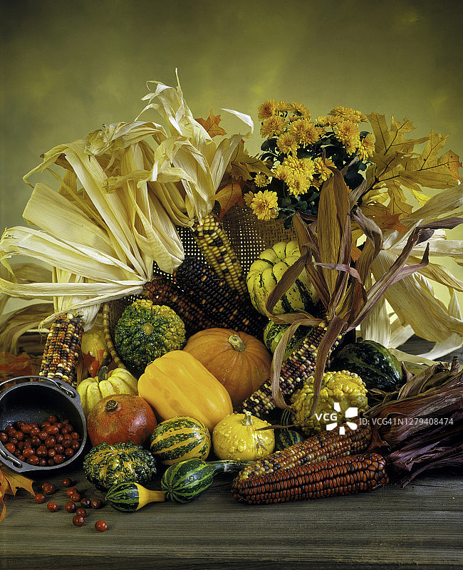 秋收玉米图片素材