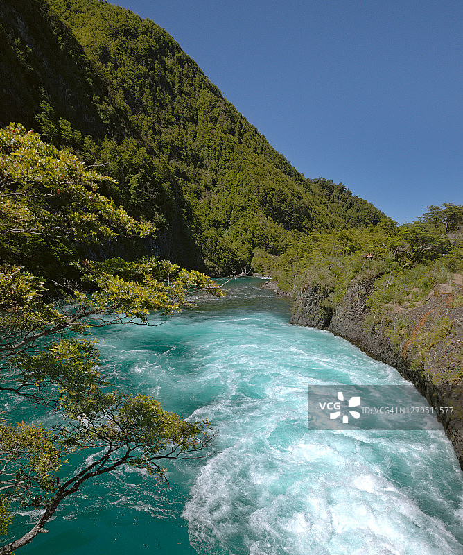 智利巴塔哥尼亚国家公园的翠绿色彼德罗韦河图片素材