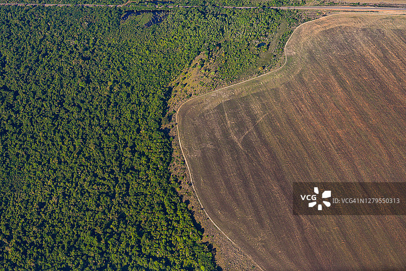 亚马逊地区的森林砍伐图片素材
