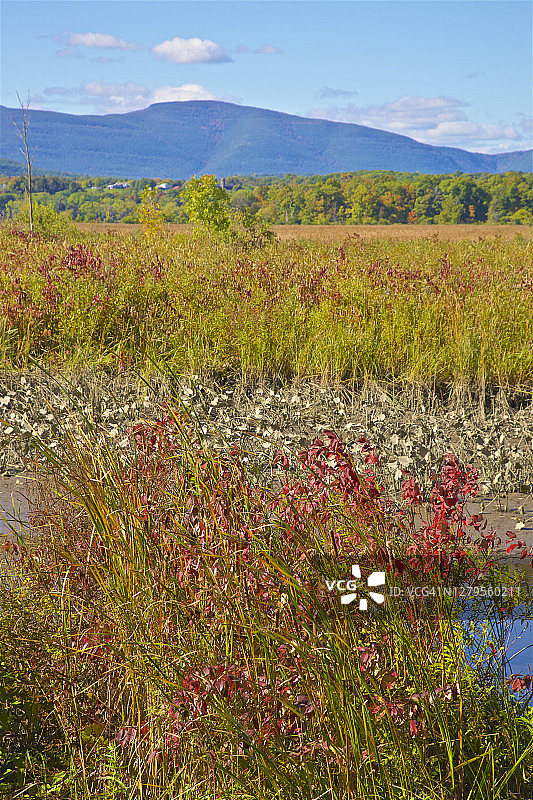 秋季提沃利远山河口图片素材