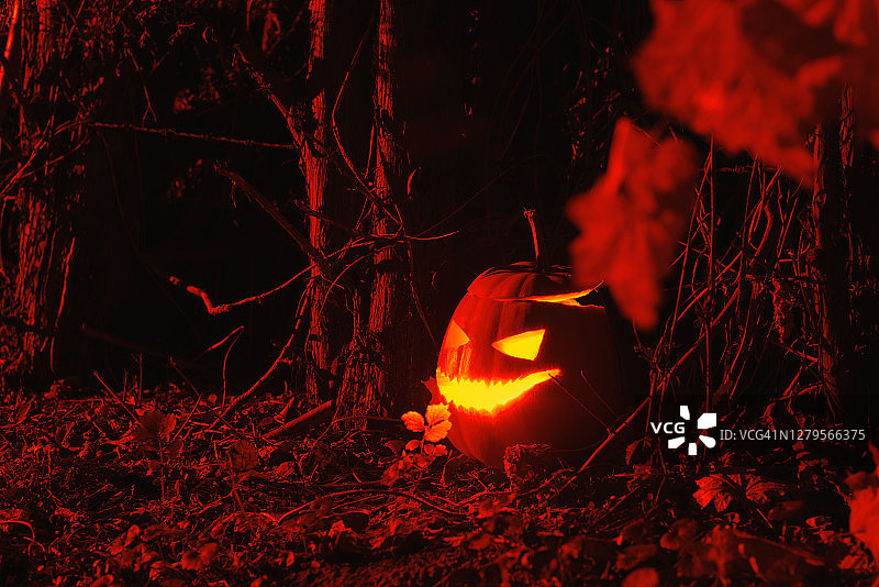 万圣节森林里的发光南瓜灯图片素材