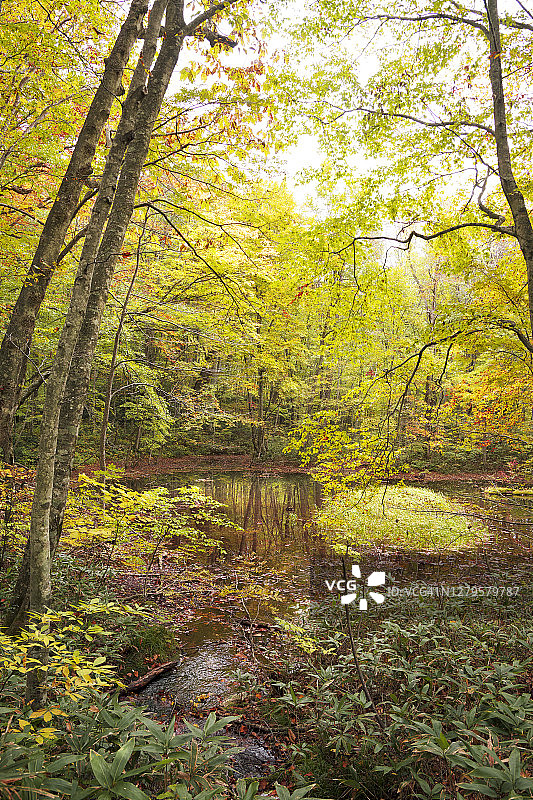 青森县的早秋景色图片素材