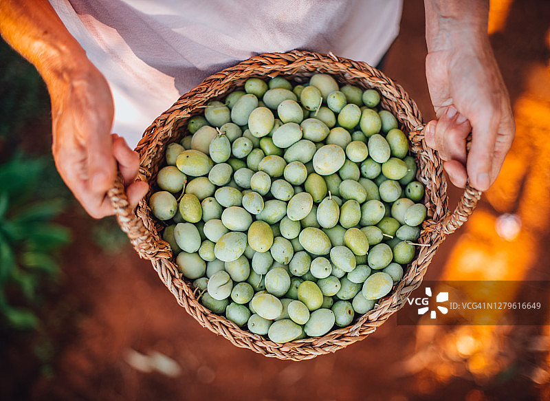 手提有机绿橄榄篮子的中年妇女图片素材