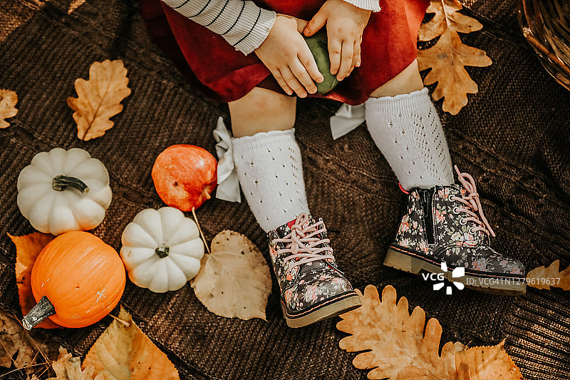 万圣节，白色南瓜、橙色南瓜、绿色和红色苹果图片素材