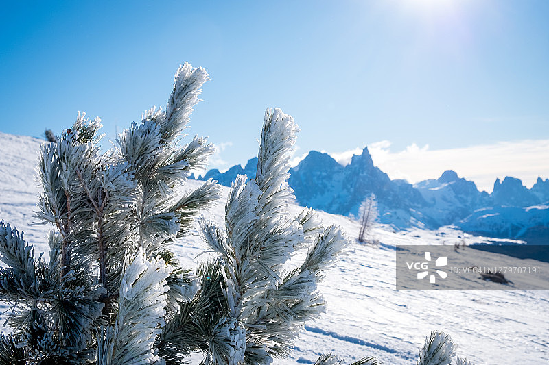意大利多洛米蒂山阿尔佩卢西亚滑雪区的阳光冬季景观：莫埃纳附近法萨山谷的滑雪胜地，冬季山景图片素材