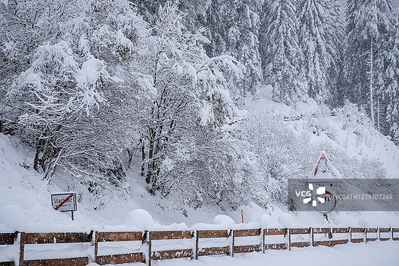 奥地利斯图拜山谷新施蒂夫特镇的冬季景观，大雪过后白雪皑皑的树木图片素材
