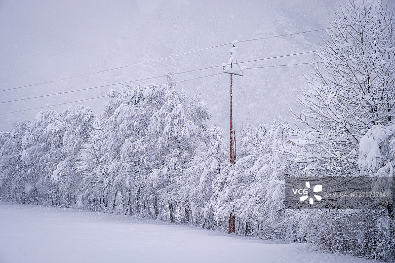 奥地利斯图拜山谷新施蒂夫特镇的冬季景观，大雪过后白雪皑皑的树木图片素材