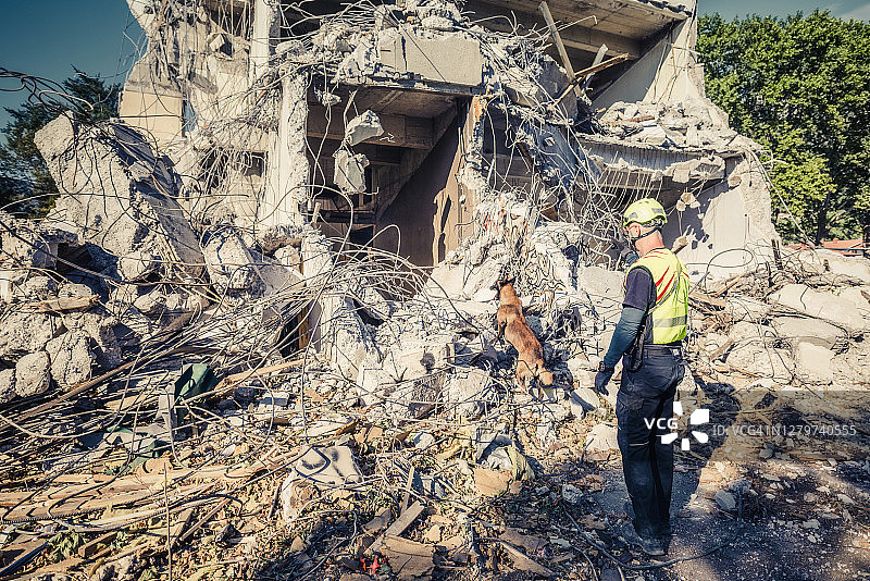 救援人员与搜救犬的搜索图片素材