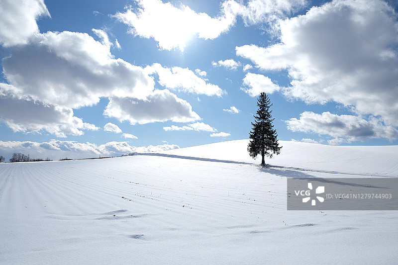 日本北海道美瑛的雪山图片素材